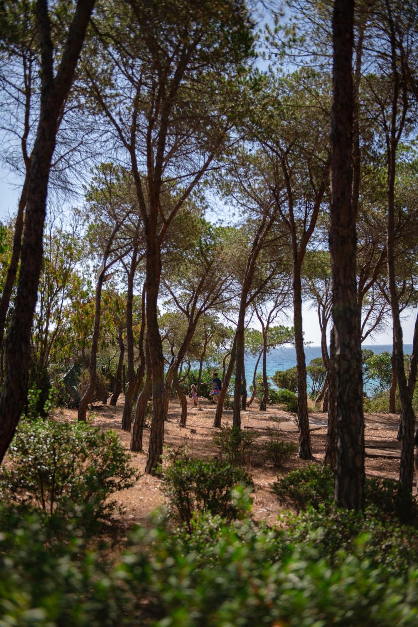 Amareclub Rocca Dorada Hotel Santa Margherita di Pula Bagian luar foto